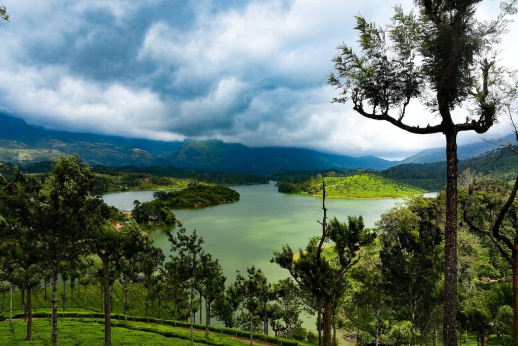 green trees near body of water under cloudy sky during daytime