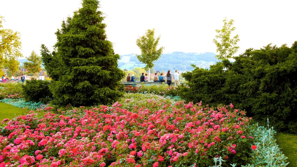 Rose Garden, Bern City